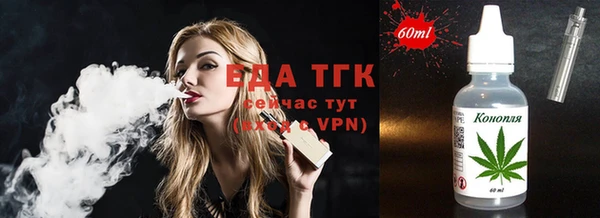 индика Баксан