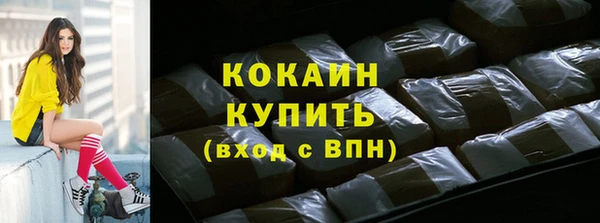 индика Баксан