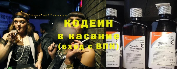 индика Баксан