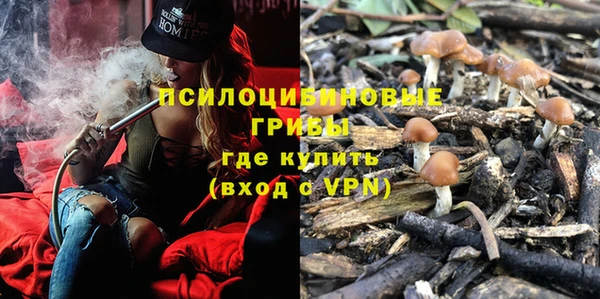 эйфоретик Балахна